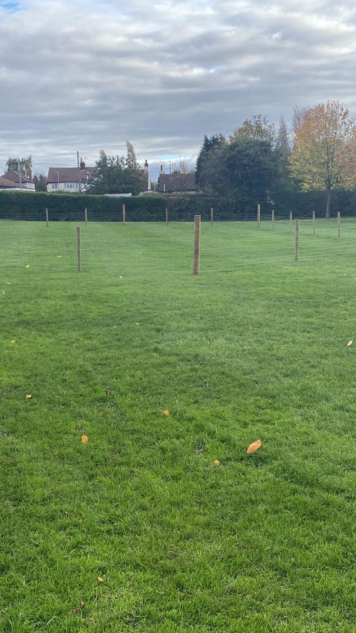 Trees to be Planted in Chetwynd Park CTTC Forum